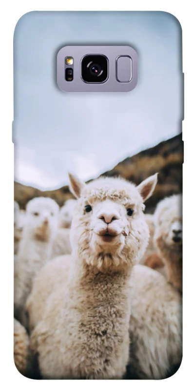 Чохол на Samsung G955 Galaxy S8 Plus Лама фото 1 з 1