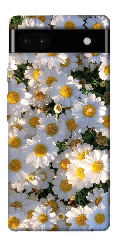 Чохол на Google Pixel 6a Поле ромашок фото 1 з 1