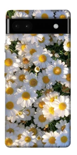 Чохол на Google Pixel 6a Поле ромашок фото 1 з 1