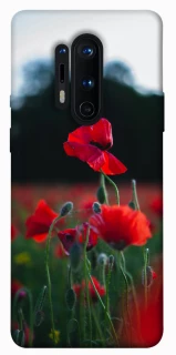 Чехол на OnePlus 8 Pro Мак фото 1 из 1