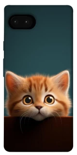 Чохол на Google Pixel 7a Чохол Кошеня фото 1 з 1