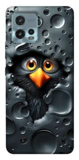 Чохол на Motorola Moto G72 Ну привіт ! фото 1 з 1