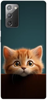 Чохол на Samsung Galaxy Note 20 Чохол Кошеня фото 1 з 1