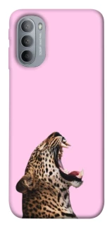 Чохол на Motorola Moto G31 Leopard Meow фото 1 з 1