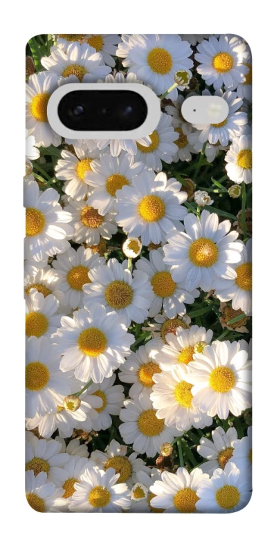 Чохол на Google Pixel 7 Поле ромашок фото 1 з 1