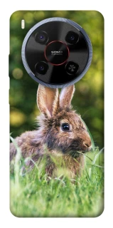 Чехол на ZTE Blade V70 Max Кролики фото 1 из 1