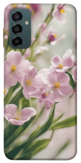 Чехол на Samsung Galaxy M34 5G Spring фото 1 из 1