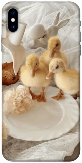 Чохол на Apple iPhone X (5.8") Easter Vibes фото 1 з 1