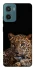 Чохол на Motorola Moto G06 Leopard v4 фото 1 з 1