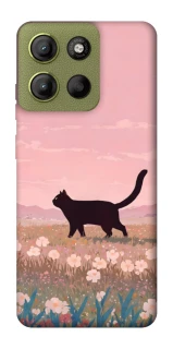 Чохол на Motorola Moto G15 4G cat on a field фото 1 з 1
