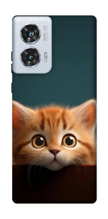 Чохол на Motorola Edge 50 Fusion Чохол Кошеня фото 1 з 1