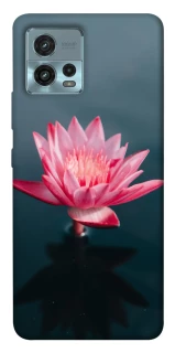 Чохол на Motorola Moto G72 Лотос фото 1 з 1