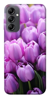 Чехол на Samsung Galaxy A14 4G/5G Фиолетовые тюльпаны фото 1 из 1