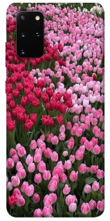 Чохол на Samsung Galaxy S20+ Flowers v9 фото 1 з 1