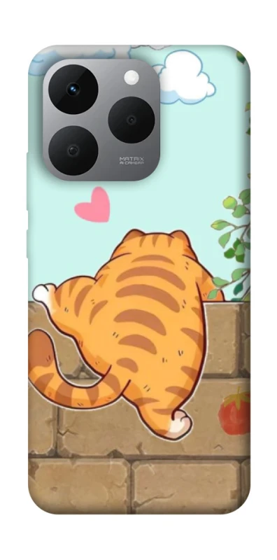 Чохол на Realme 15T Cat the meow фото 1 з 1