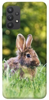 Чехол на Samsung Galaxy A32 (A325F) 4G Кролики фото 1 из 1
