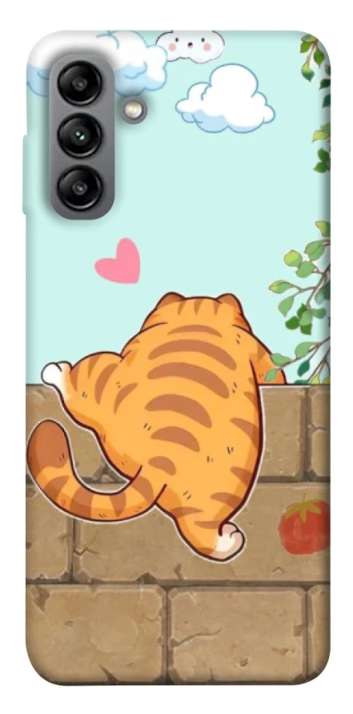 Чохол на Samsung Galaxy A04s Cat the meow фото 1 з 1