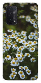 Чехол на Oppo A54 5G / A74 5G Ромашки v13 фото 1 из 1
