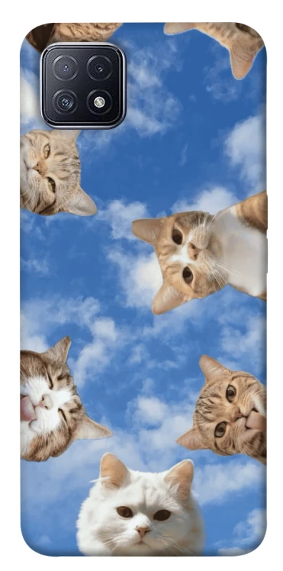 Чохол на Oppo A73 Сats фото 1 з 1