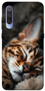 Чохол на Xiaomi Mi 9 Cat paws фото 1 з 1