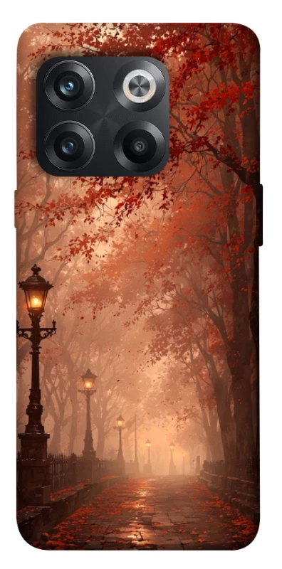 Чехол на OnePlus 10T boulevard фото 1 из 1