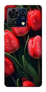 Чохол на ZTE Blade V50 Vita Червоні тюльпани фото 1 Чохол на ZTE Blade V50 Vita Червоні тюльпани фото 1 з 1