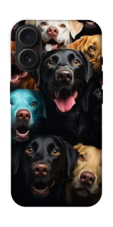 Чехол на Apple iPhone 16 Собаки фото 1 из 1