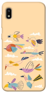 Чехол на Samsung Galaxy A10 (A105F) Перелёт фото 1 из 1