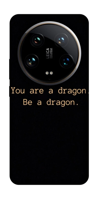 Чехол на Xiaomi 14 Ultra House of the Dragon ver.9 фото 1 из 1