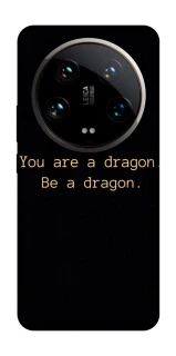 Чехол на Xiaomi 14 Ultra House of the Dragon ver.9 фото 1 из 1