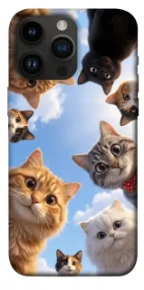 Чехол на Apple iPhone 14 Pro Max (6.7") Cats фото 1 из 1