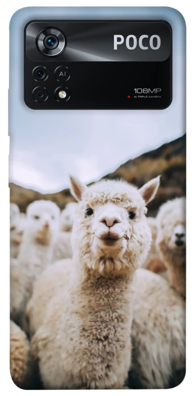 Чохол на Xiaomi Poco X4 Pro 5G Лама фото 1 з 1