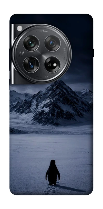 Чехол на OnePlus 12 But why? фото 1 из 1