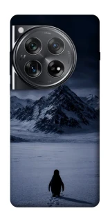 Чехол на OnePlus 12 But why? фото 1 из 1