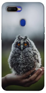 Чохол на Oppo A5s Совеня фото 1 з 1