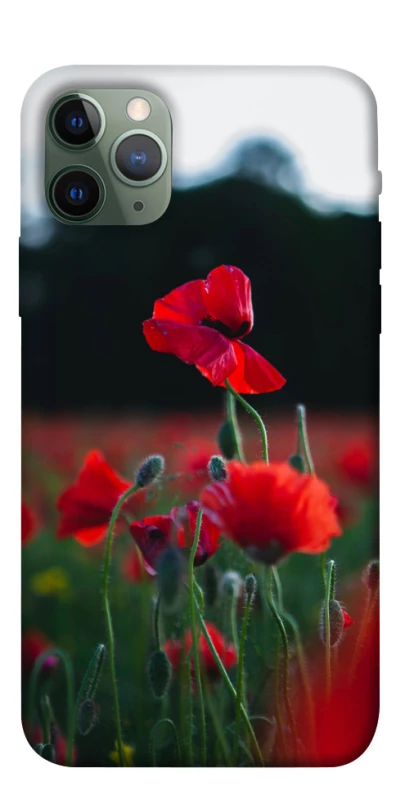 Чехол на Apple iPhone 11 Pro (5.8") Мак фото 1 из 1