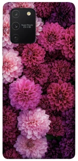 Чохол на Samsung Galaxy S10 Lite Garden1 фото 1 з 1