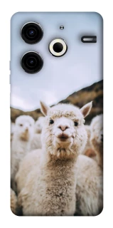 Чохол на TECNO Pova 6 Neo (LI6) Лама фото 1 з 1