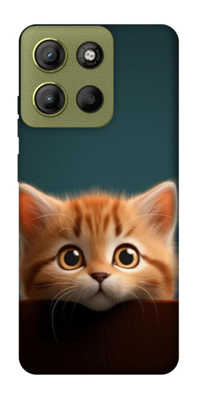 Чохол на Motorola Moto G15 4G Чохол Кошеня фото 1 з 1