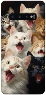 Чехол на Samsung Galaxy S10 Коты фото 1 из 1