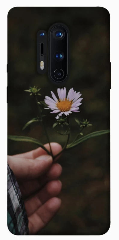 Чохол на OnePlus 8 Pro Ромашка v4 фото 1 з 1