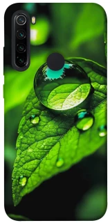 Чехол на Xiaomi Redmi Note 8 Flowers v16 фото 1 из 1