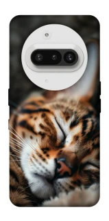 Чохол на Nothing Phone (3a) Cat paws фото 1 з 1