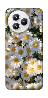 Чехол на Xiaomi Civi 5 Pro Поле ромашек фото 1 из 1