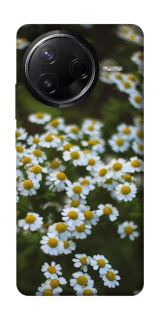 Чехол на Infinix Note 50 Pro Ромашки v13 фото 1 из 1