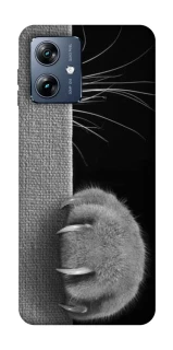 Чехол на Motorola Moto G54 Power Spy Cat фото 1 из 1