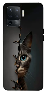 Чехол на Oppo Reno 5 Lite Кот-подглядыватель v2 фото 1 из 1