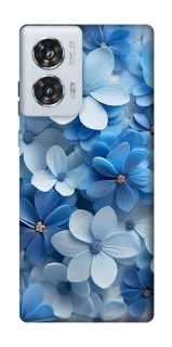 Чехол на Motorola Edge 50 Fusion Синие цветы фото 1 из 1