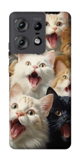 Чохол на Motorola Edge 50 Pro Коти фото 1 з 1