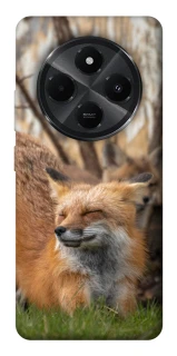 Чехол на Xiaomi Poco M7 Лиса фото 1 из 1